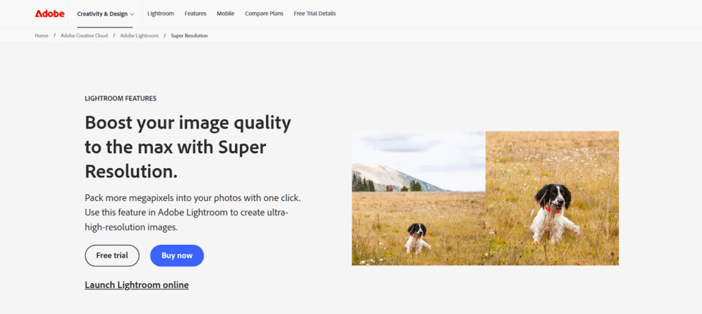 Adobe Super Resolution